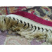 BELUCHI 88020-1212 Килими з віскози
