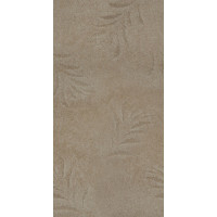 FERN(DOMO) 39