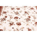 QUEEN 2844B CREAM Синтетичні килими