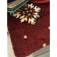 CARUS SELECTION SE010 21111